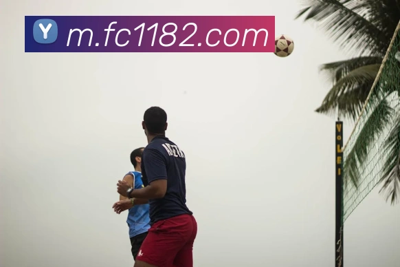 国际认证